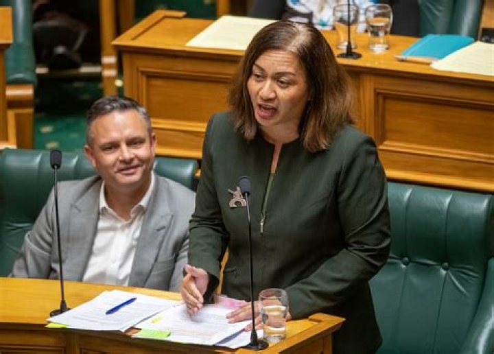 'White cis men' - Marama Davidson grilled in Parliament