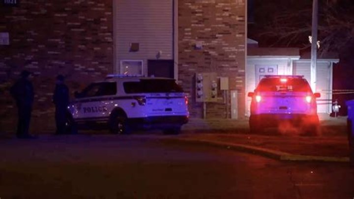 12-year-old girl stabs 9-year-old brother to death, police say