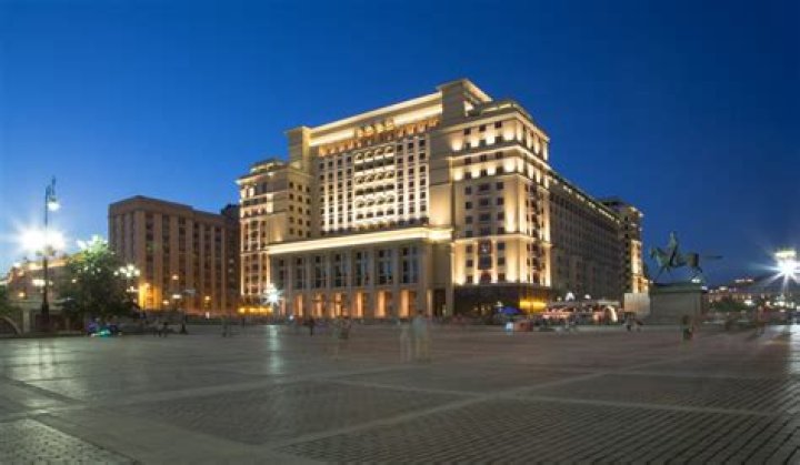 6 Homegrown Brands That Should Be On Every Dog Parent’s Radar