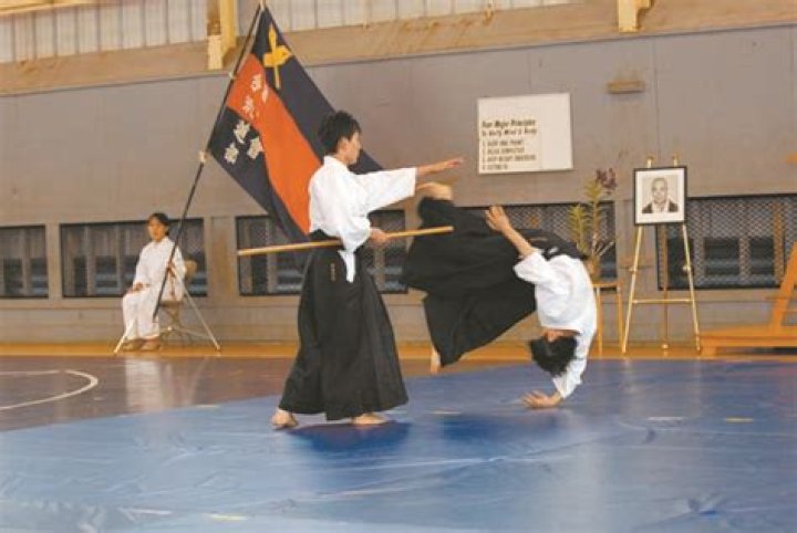 Aikido students from Japan to give public demonstration | News, Sports, Jobs