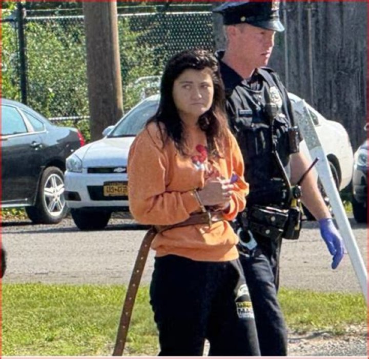 Arrest in hit-and-run death of 'Gone Girl' actor Lisa Banes