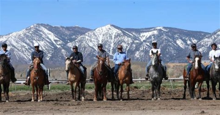 BLM and Northern Nevada Correctional Center to hold wild horse adoption event June 3 | News