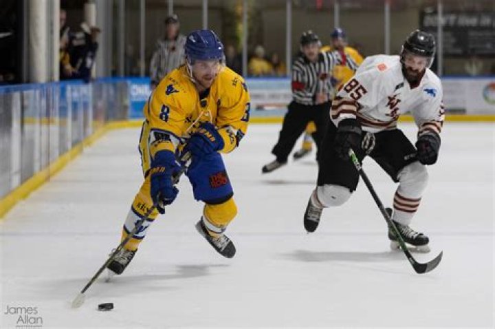 Botany Swarm men's ice hockey team ends playoff drought thanks to history-making female coach