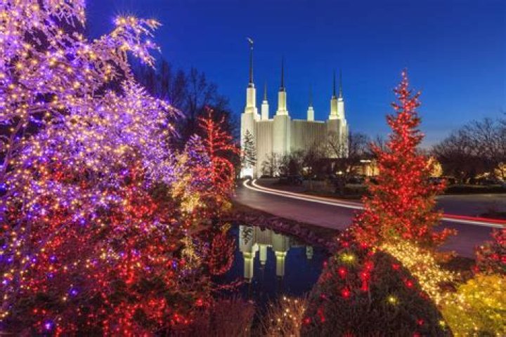 Christmas lights return to the Washington D.C. Temple grounds