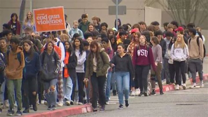 Damonte High Students Walkout to Protest Gun Violence in Schools | Video