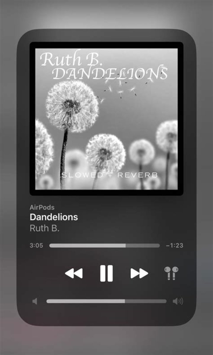 Dandelions- Ruth B. - News