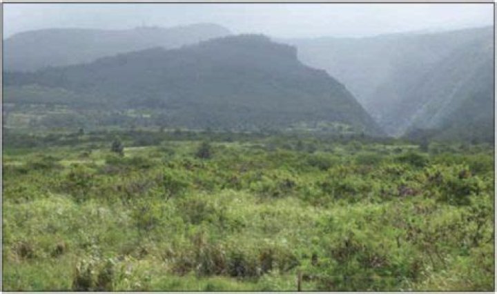 DHHL moves ahead with Honokowai project | News, Sports, Jobs