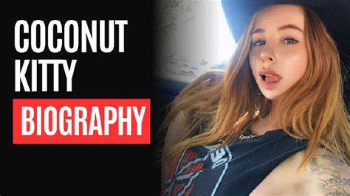 Did Coconut Kitty Have Kids?