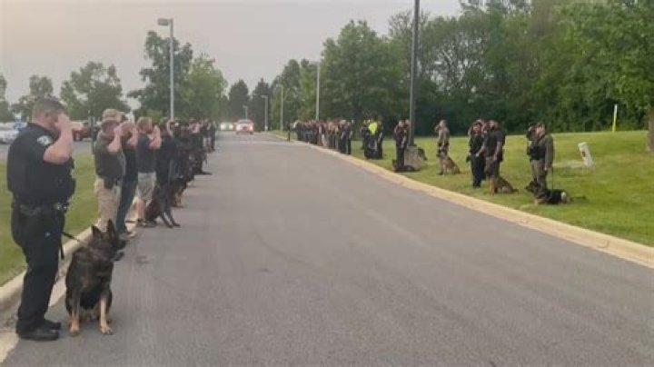 Dog shoots man, man survives, defends dog: 'He didn't mean to do it. He's a good dog.'