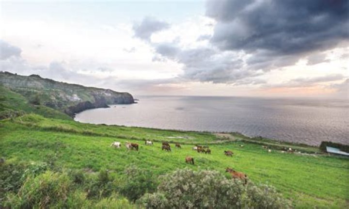 Fire reignites rural area concerns in emergencies | News, Sports, Jobs