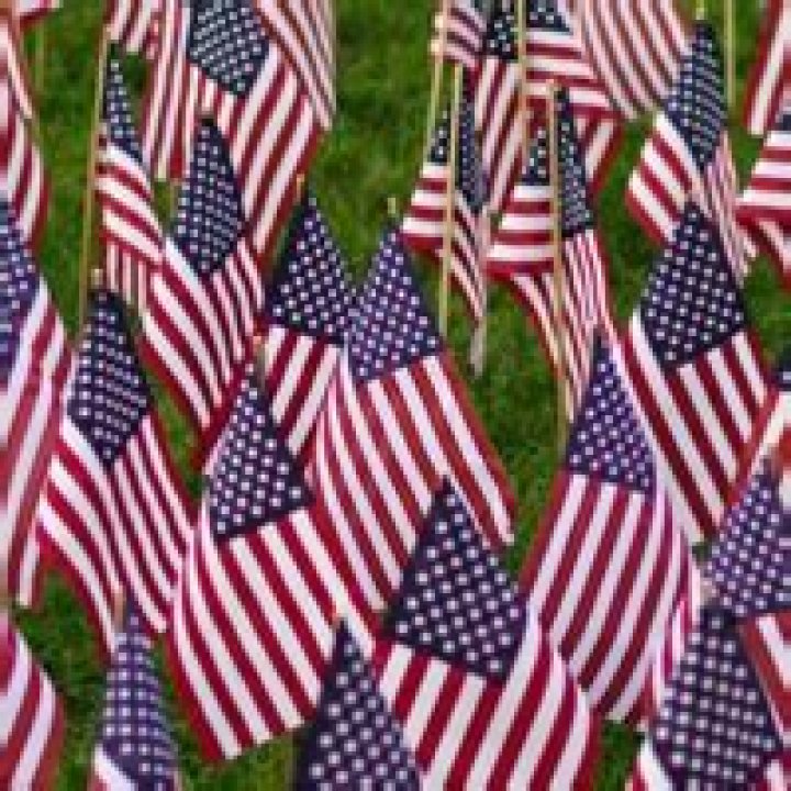Flag planting and flag retirement events held at UNR to honor Veterans Day | News