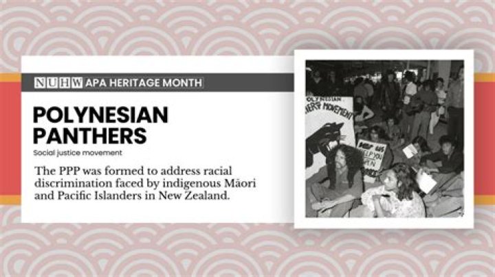 Former Polynesian Panther condemns Immigration NZ's 'dawn raid'