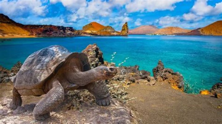 Galapagos Islands | AP News