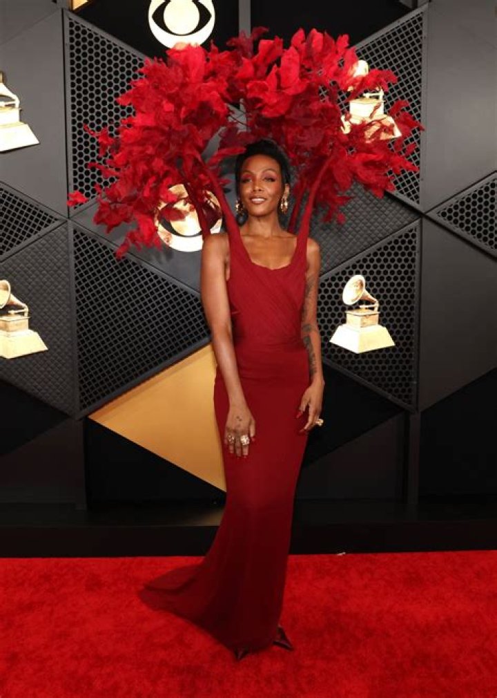 Grammys 2024 red carpet: See what stars wore