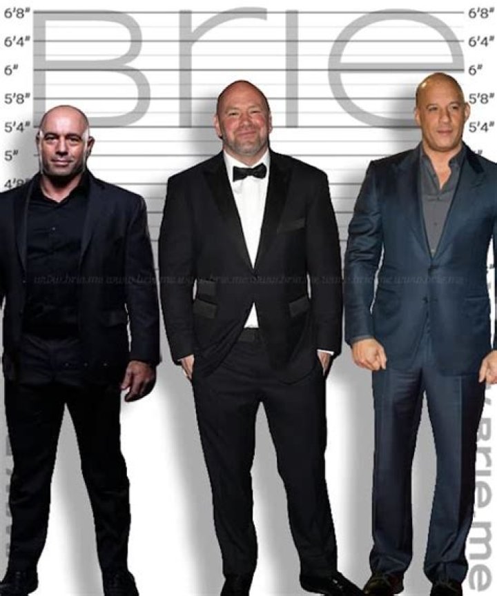 How Tall Is Dana White?