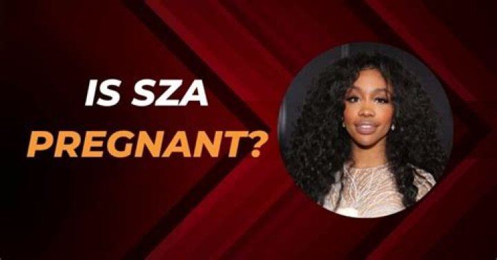 Is SZA Pregnant In 2022? SZA Pregnancy Rumors, Biography, Age, Husband, And Family