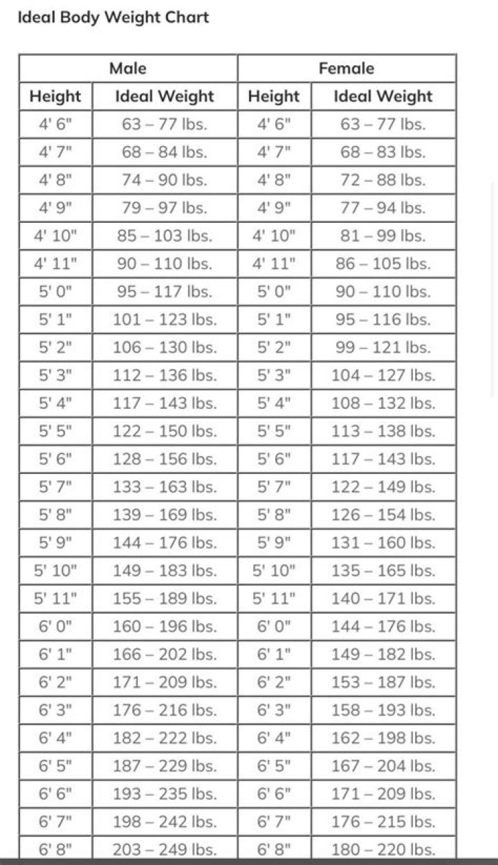 Kelsey Turner Measurements Height Weight and Age