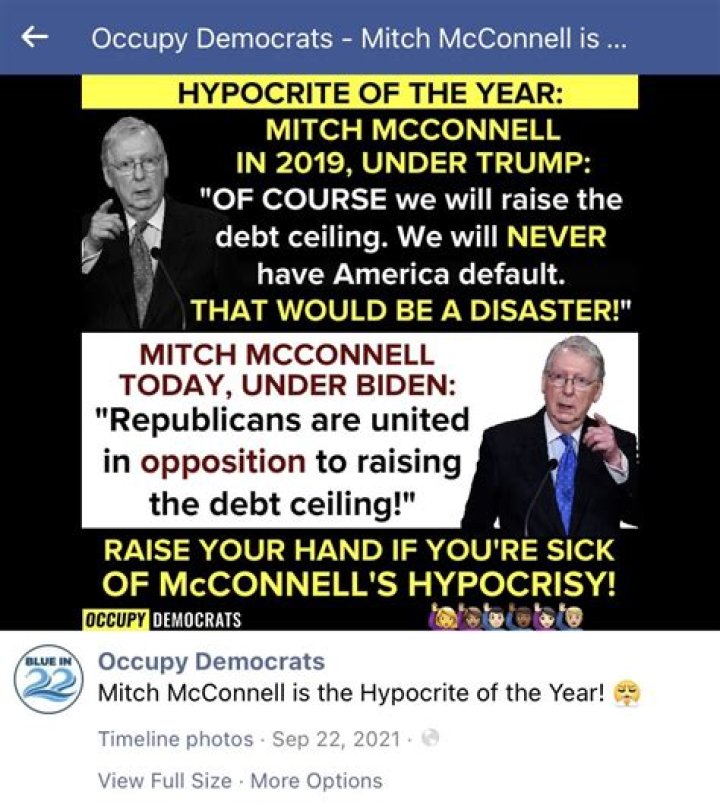 Luxon faces suggestions of hypocrisy over candidate Ryan Hamilton