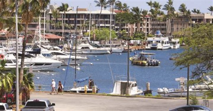 Mala Wharf may reopen in the next month or two | News, Sports, Jobs