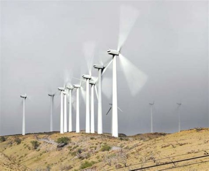 Maui County drew half of its energy from renewable sources in 2021 | News, Sports, Jobs