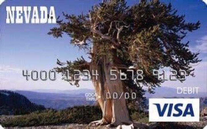 Nevada Child Support Debit Card Changing |