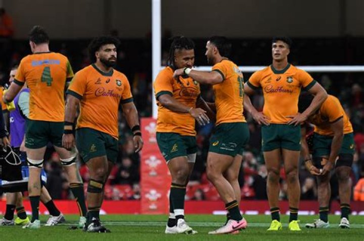 NZ-born flanker a likely steal for Wallabies