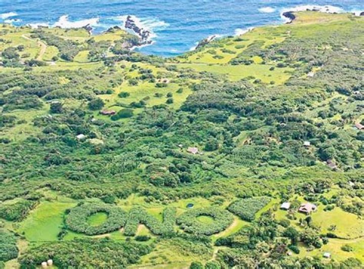 ONO Organic Farms | News, Sports, Jobs