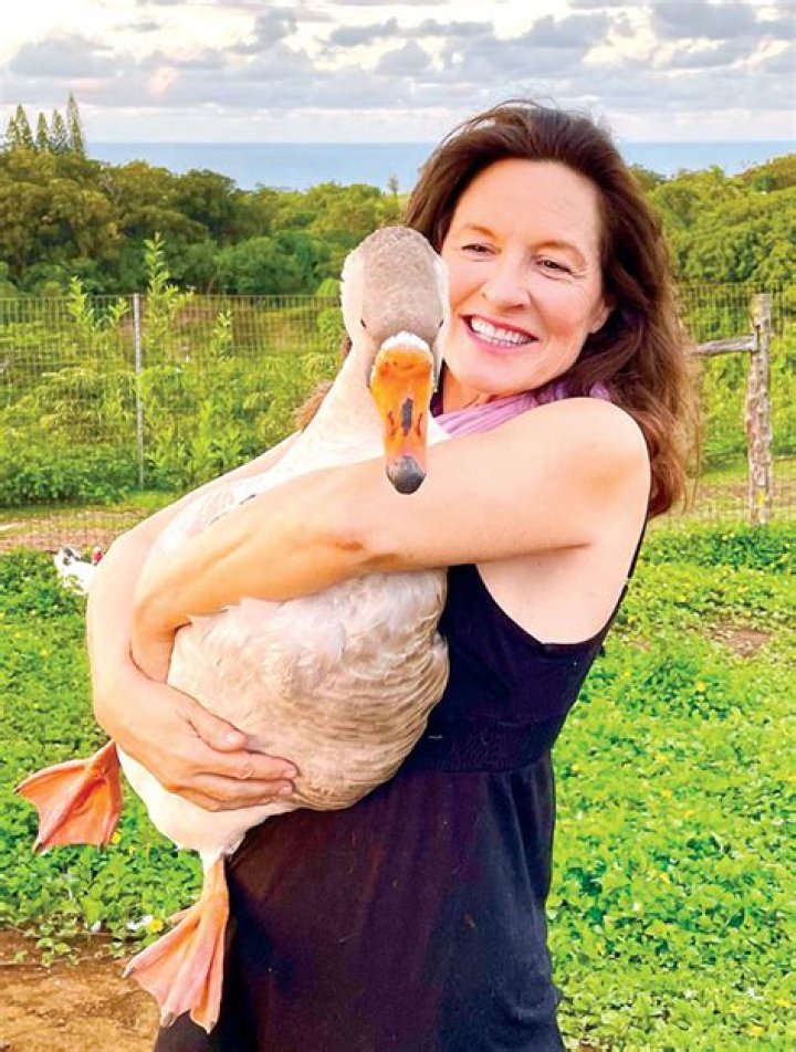 Pandemic puts strain on farm sanctuary | News, Sports, Jobs