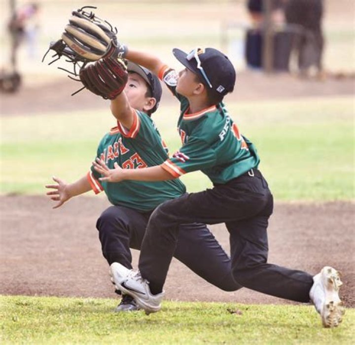 Pony States, Little League Majors district tournament kick off | News, Sports, Jobs