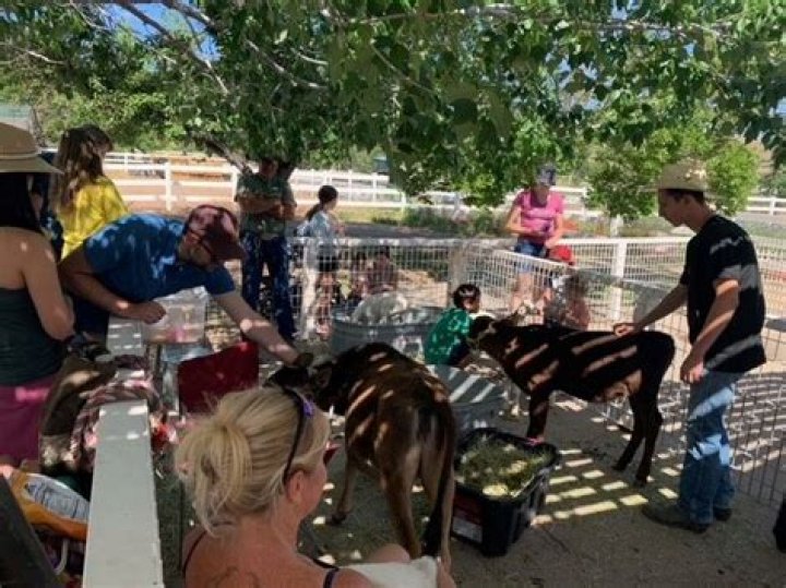 Rancho San Rafael Park Celebrates 40 Years |