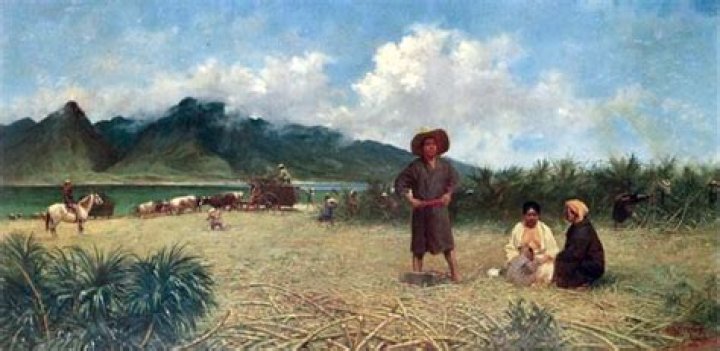 Recalling gannenmono — the ‘first-year men’ | News, Sports, Jobs