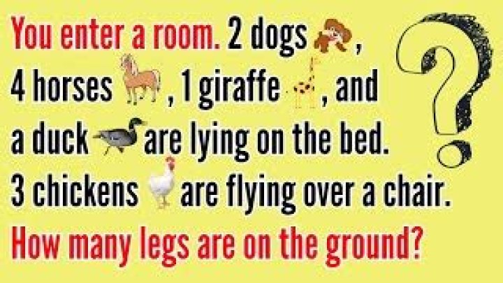 Riddle You Enter A Room 2 Dogs 4 Horse, Check The Answer For You Enter A Room 2 Dogs 4 Horse Riddle