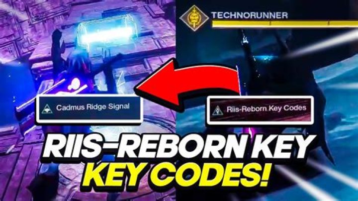 Riis Reborn Key Codes Destiny 2 - Want To Know Scanner Riis Reborn Sectors X3? How Do You Get Riis Reborn Key Codes? - Check Here