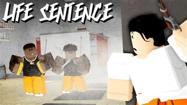 Roblox Developer Life Sentence, Roblox Developer Facing Two Life Sentences