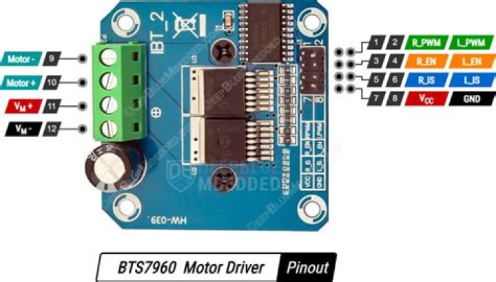 Some bus drivers won't ask passengers to pay during strike action