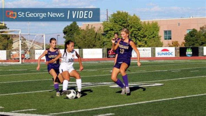 State soccer: Warriors, Bears advance to fifth-place match | News, Sports, Jobs