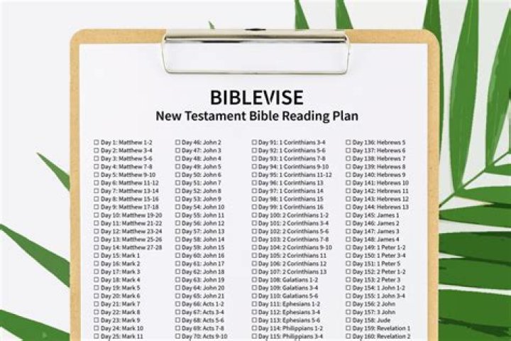 Systematic plan helps in New Testament study