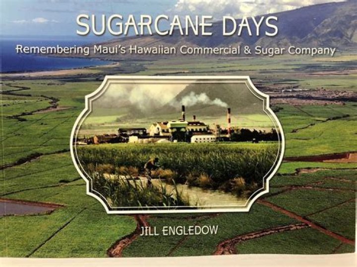 The History of Hawaiian Commercial & Sugar Co. | News, Sports, Jobs