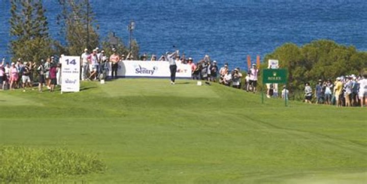 The Sentry — Scheffler on top heading into weekend | News, Sports, Jobs