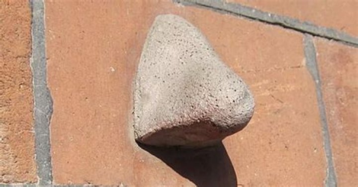 This is the bizarre reason why there are human noses hidden around London