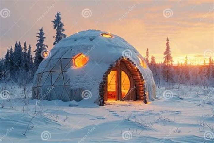 Traditional Arctic dome home crossword clue Crossword Clue