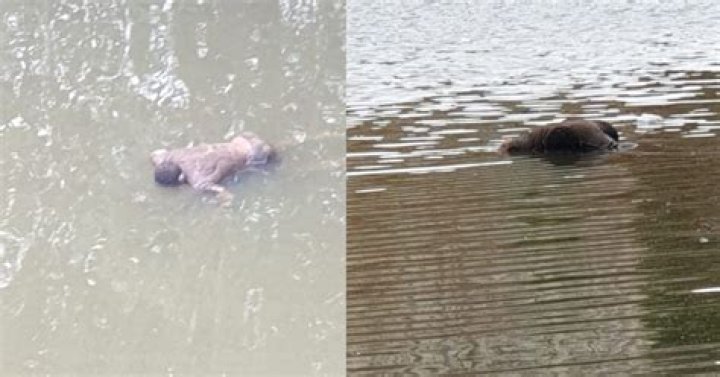 Two children die after they're found floating in Perth river