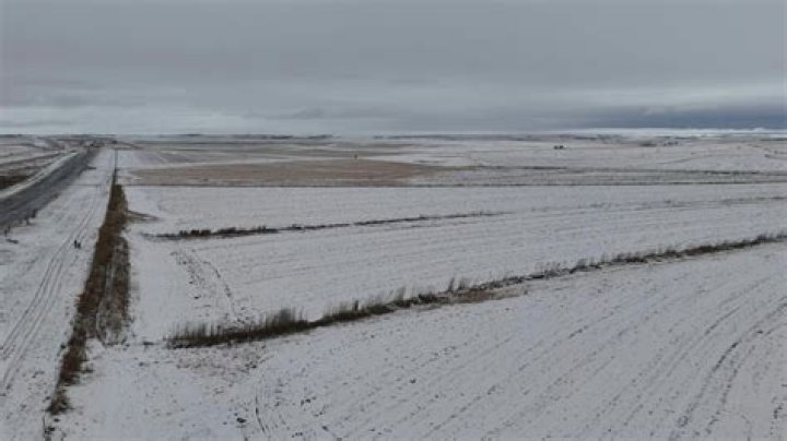 Unexpected snowfall closes Otago's Crown Range Road