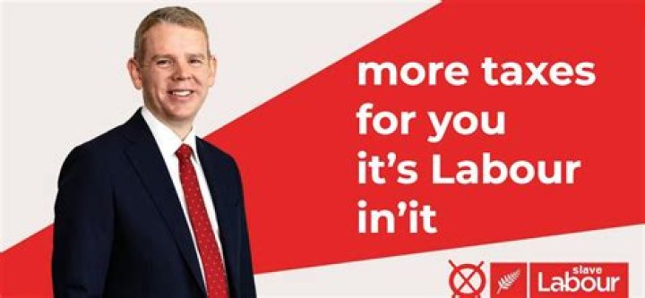 Winston Peters proposes to make English an official language