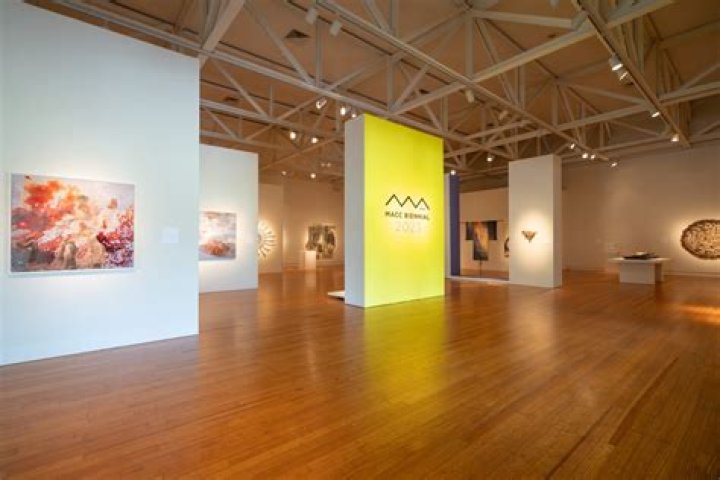 Works from 15 Maui artists to feature in inaugural MACC Biennial exhibition | News, Sports, Jobs