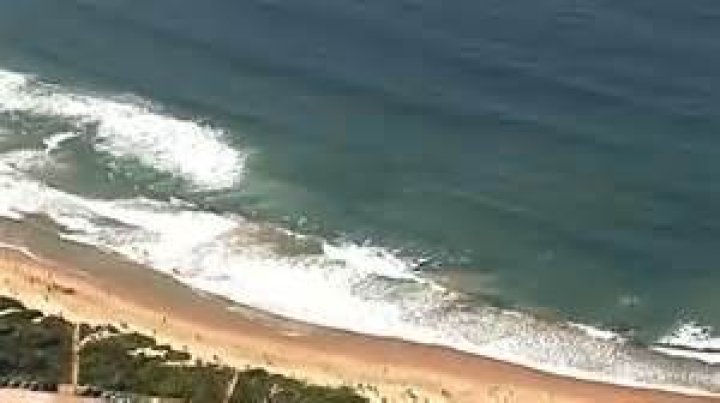 Young Surfer Tells Tale of Shark Attack